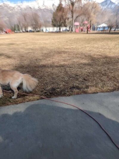 Legacy Park - Alpine, UT
