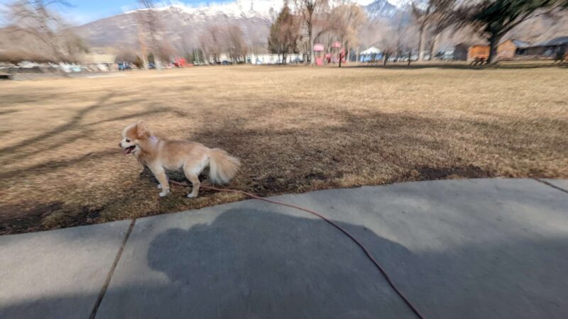Legacy Park - Alpine, UT