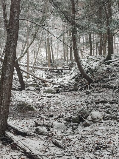 Bozenkill Park - Altamont, NY