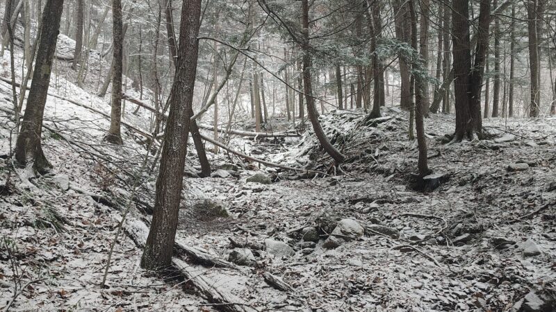 Bozenkill Park - Altamont, NY