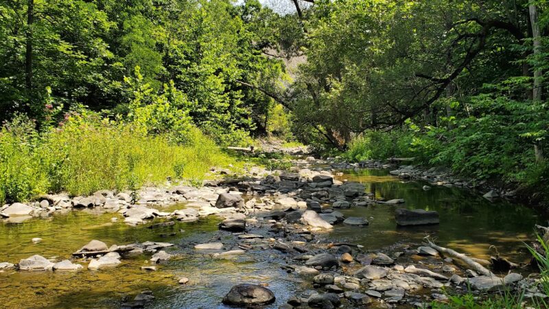 Bozenkill Park - Altamont, NY