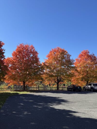 Keenholts Park - Altamont, NY