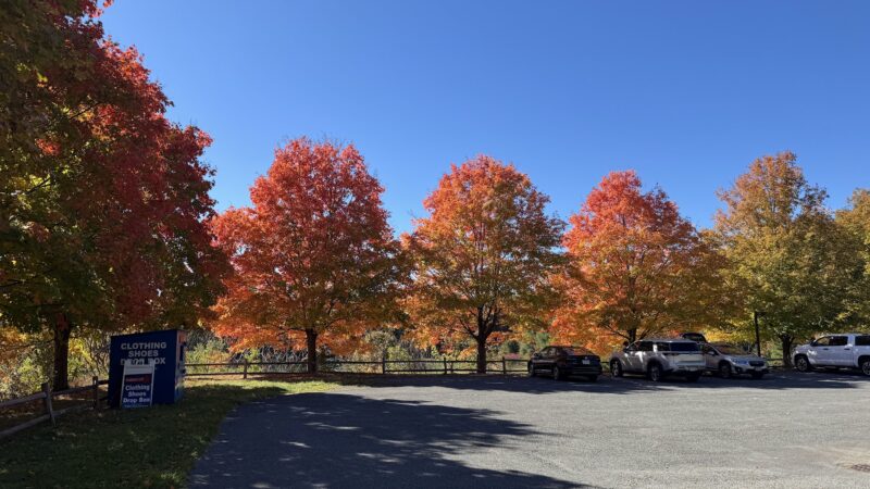 Keenholts Park - Altamont, NY