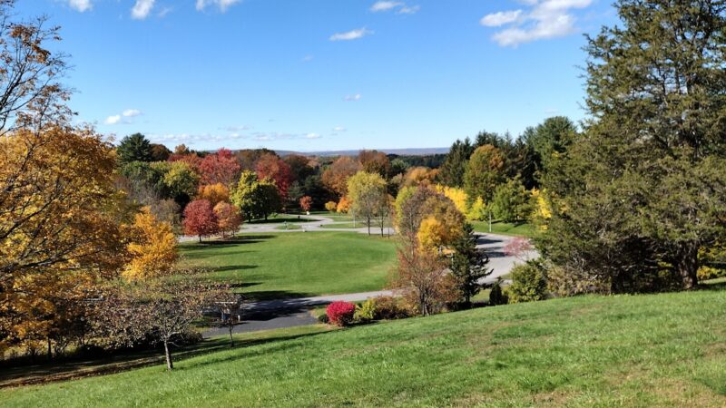 Tawasentha Park - Altamont, NY