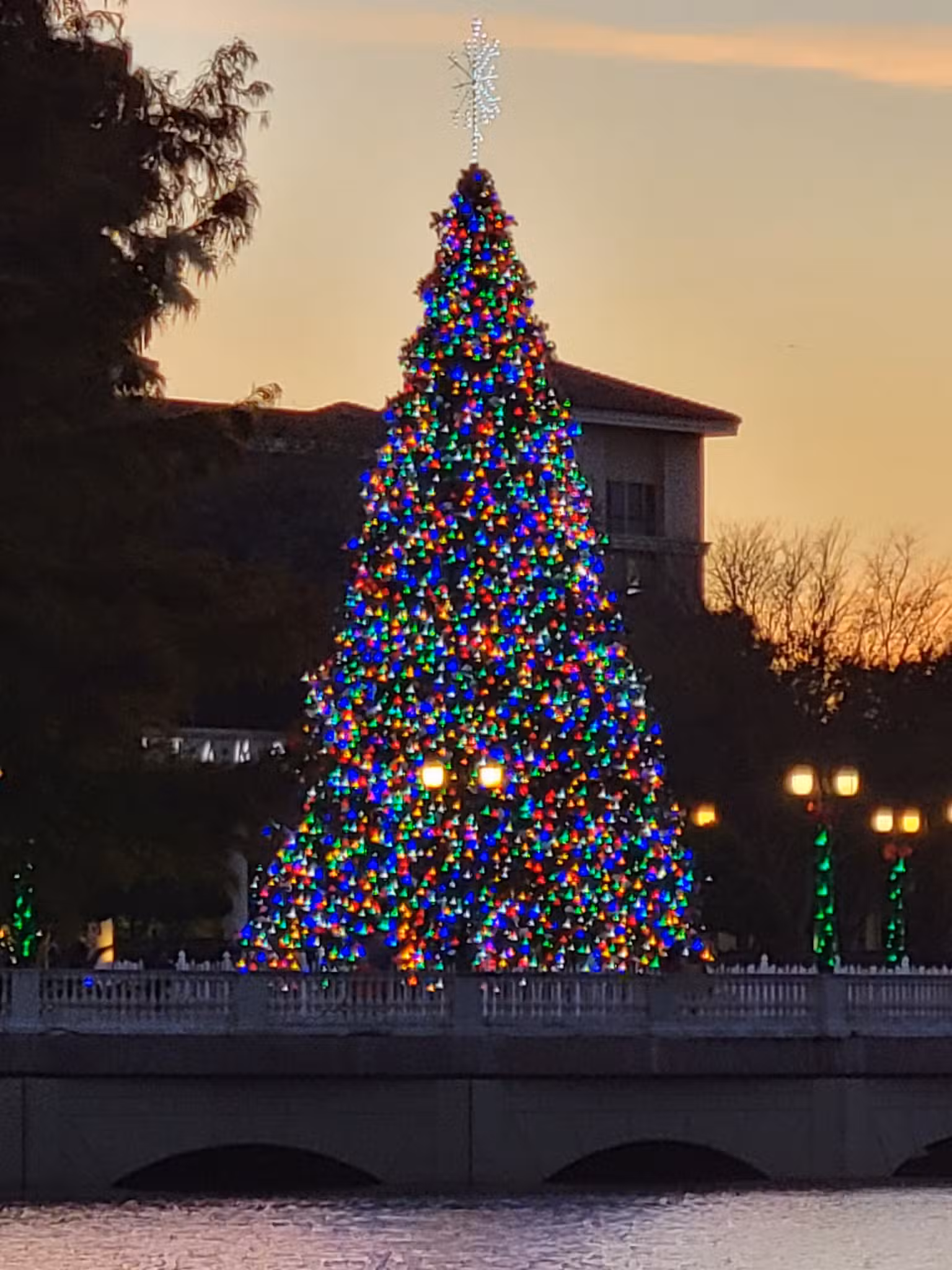 Cranes Roost Park (North Side) - Altamonte Springs, FL