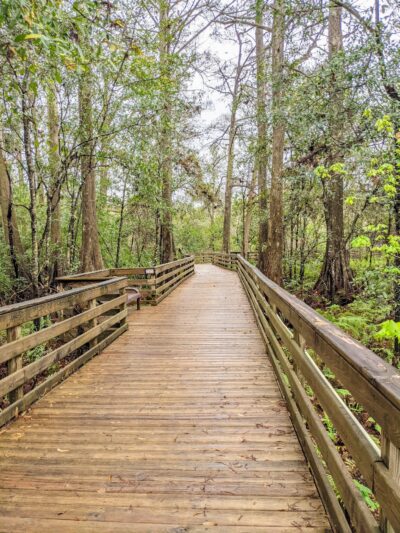 Lake Lotus Park - Altamonte Springs, FL