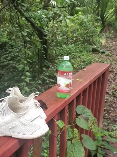 Merrill Park - Altamonte Springs, FL