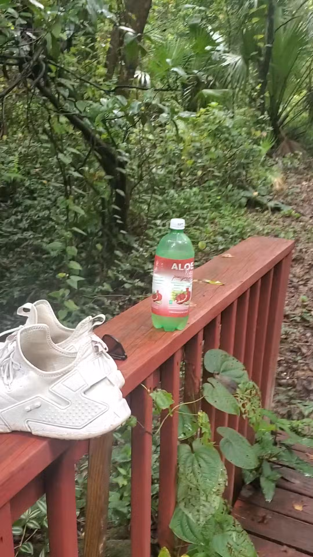 Merrill Park - Altamonte Springs, FL