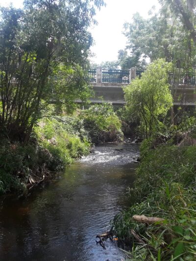 Seminole Wekiva Trail - San Sebastian Trailhead - Altamonte Springs, FL