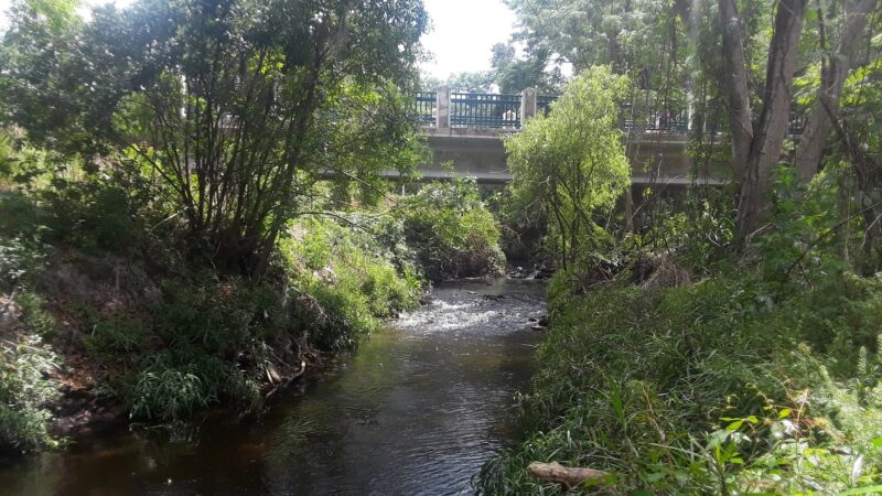 Seminole Wekiva Trail - San Sebastian Trailhead - Altamonte Springs, FL