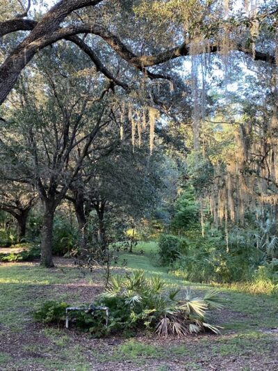 Seminole Wekiva Trail - San Sebastian Trailhead - Altamonte Springs, FL