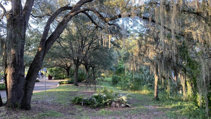 Seminole Wekiva Trail - San Sebastian Trailhead - Altamonte Springs, FL