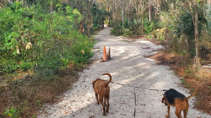 Seminole Wekiva Trail - Seminole County Softball Complex - Altamonte Springs, FL