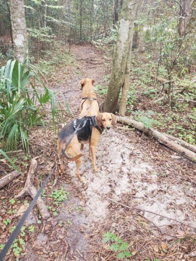 Seminole Wekiva Trail - Seminole County Softball Complex - Altamonte Springs, FL