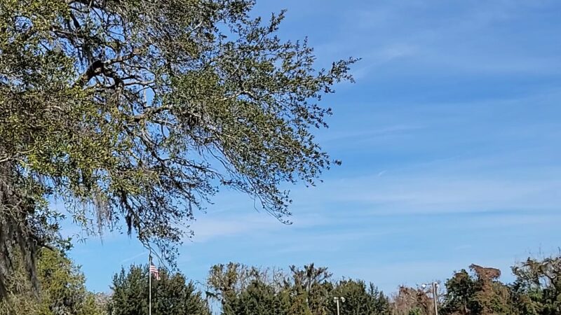 Winwood Park - Altamonte Springs, FL