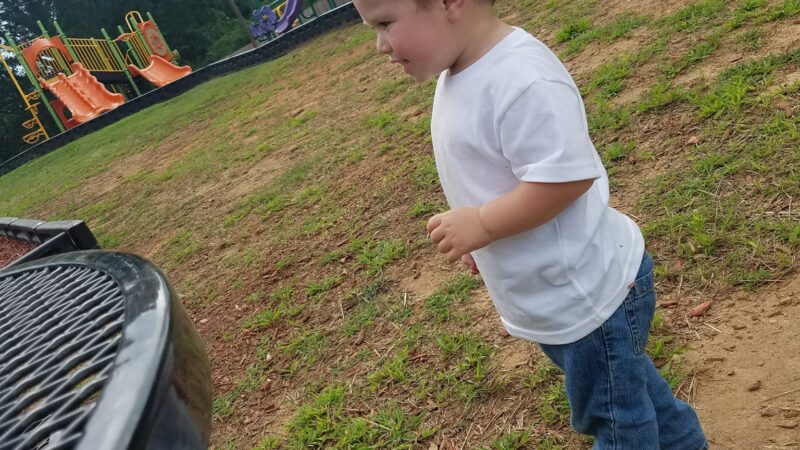 Alto City Park - Alto, GA