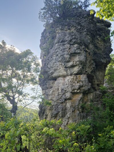 Whitewater State Park - Altura, MN