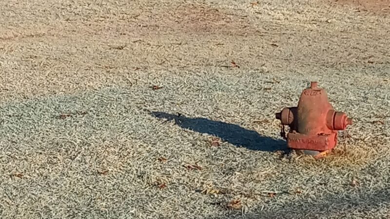 Altus Dog Park - Altus, OK