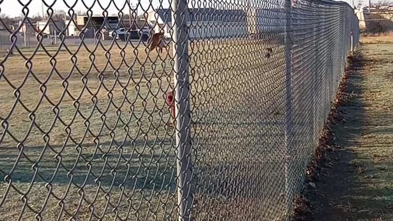 Altus Dog Park - Altus, OK