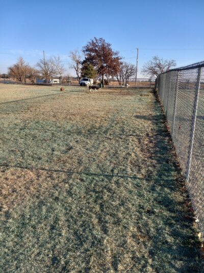 Altus Dog Park - Altus, OK