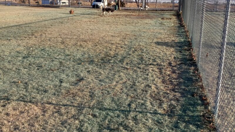Altus Dog Park - Altus, OK