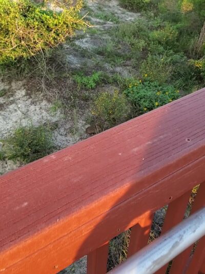 Burney Park - Amelia Island, FL