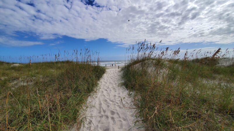 Burney Park - Amelia Island, FL