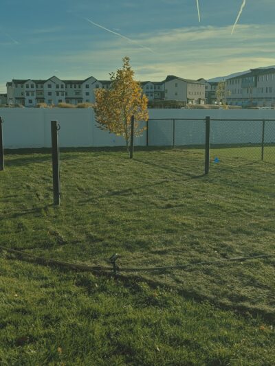 Willow Glen Home Owners Association Dog Park - American Fork, UT