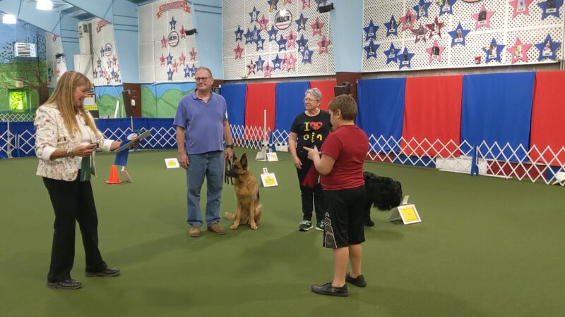 American K-9 Country - Amherst, NH