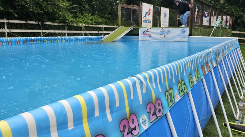 American K-9 Country - Amherst, NH