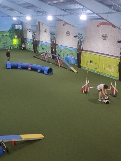 American K-9 Country - Amherst, NH