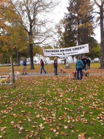 Amherst Village Green - Amherst, NH