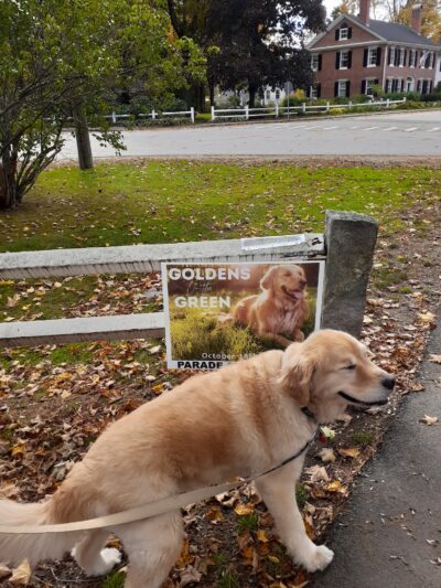 Amherst Village Green - Amherst, NH
