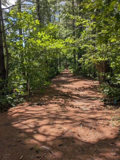 B&M Trail - Amherst, NH