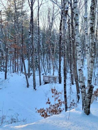Birch Park - Amherst, NH