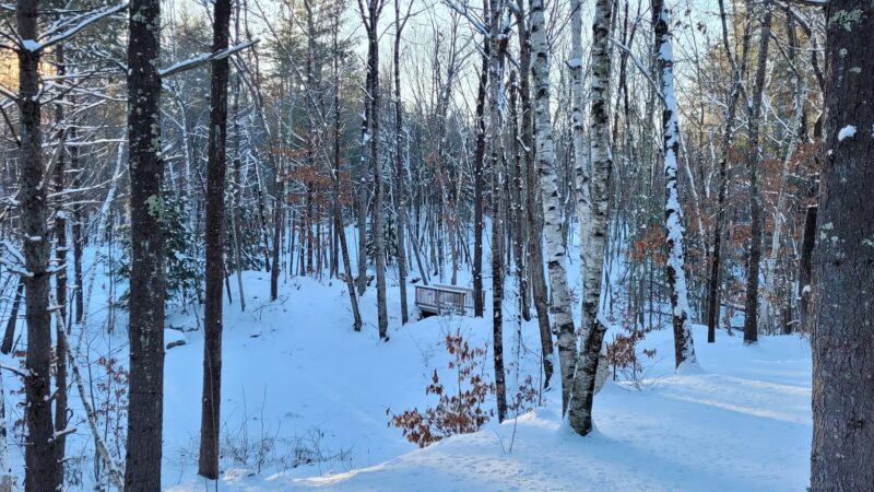 Birch Park - Amherst, NH