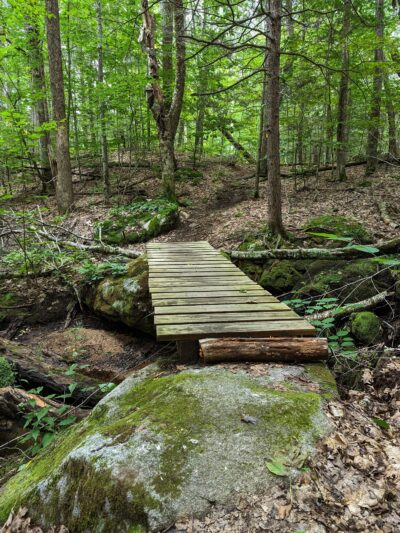 Haseltine Trail - Amherst, NH