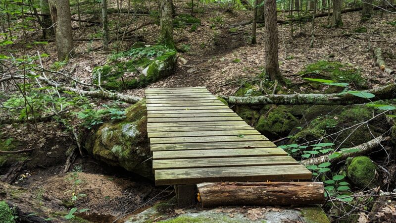 Haseltine Trail - Amherst, NH