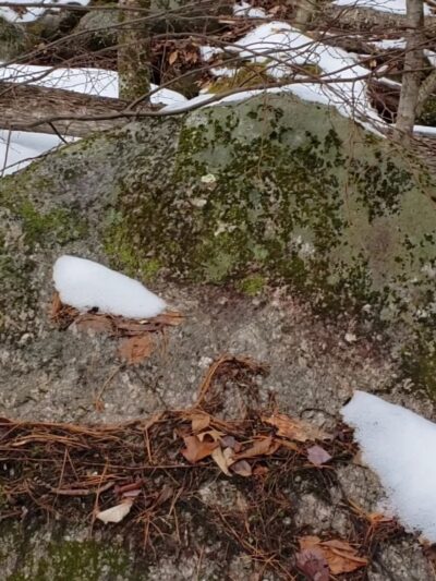 Haseltine Trail - Amherst, NH