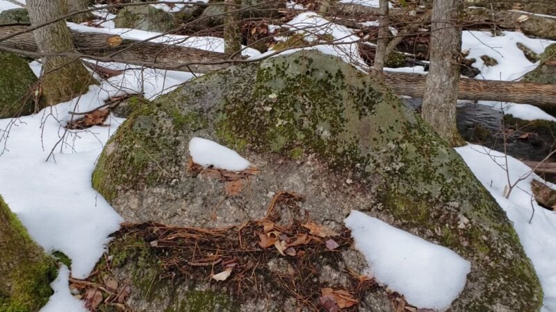 Haseltine Trail - Amherst, NH