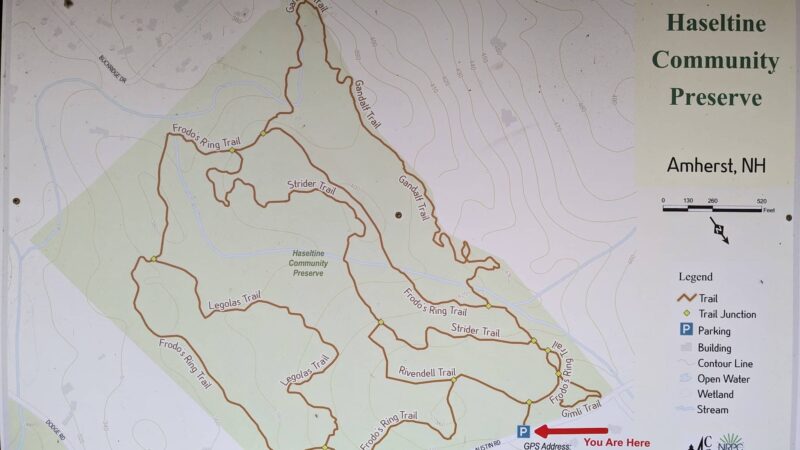 Haseltine Trail - Amherst, NH