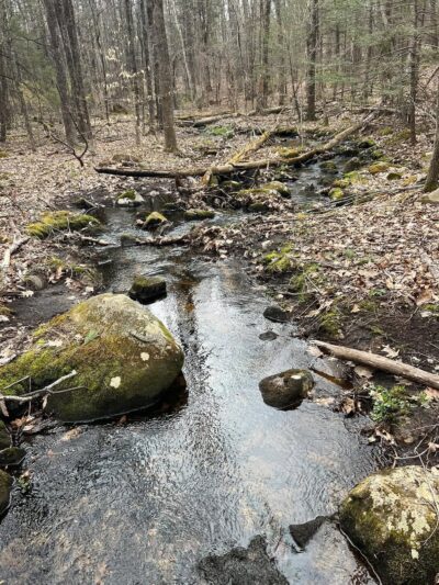 Haseltine Trail - Amherst, NH