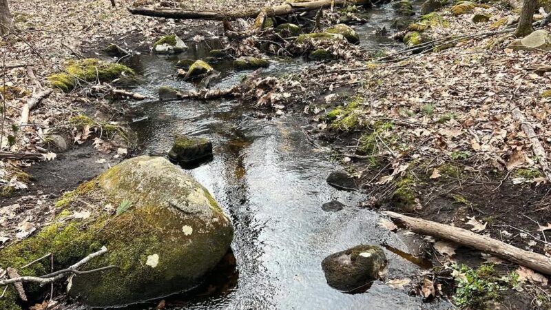 Haseltine Trail - Amherst, NH