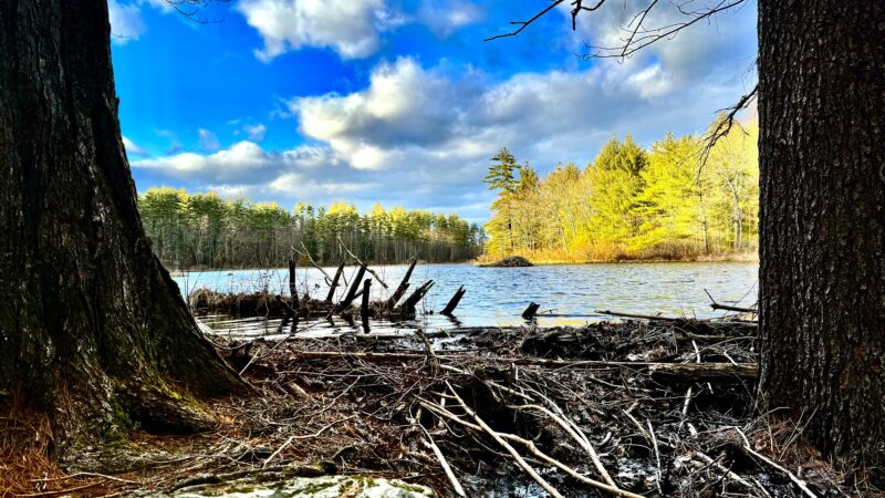 Pond Parish - Amherst, NH