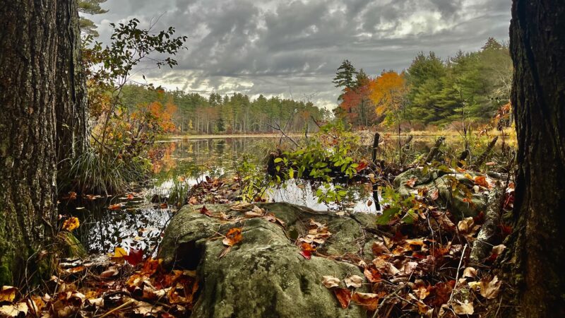 Pond Parish - Amherst, NH