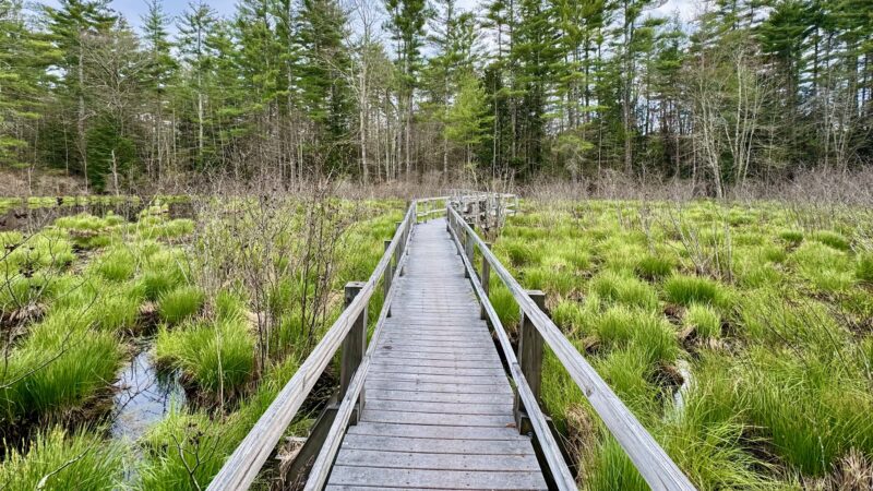 Pond Parish - Amherst, NH