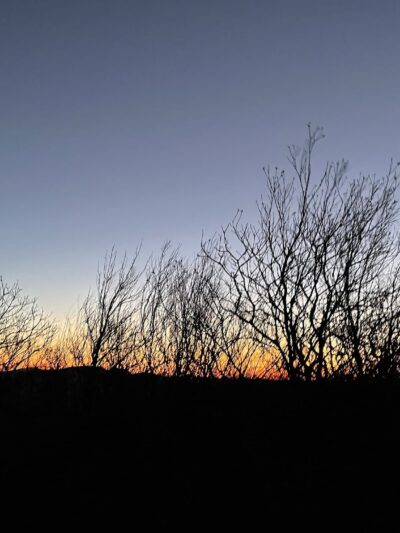 Mount Pleasant National Scenic Area - Amherst, VA