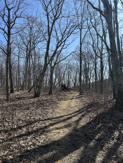 Mount Pleasant National Scenic Area - Amherst, VA