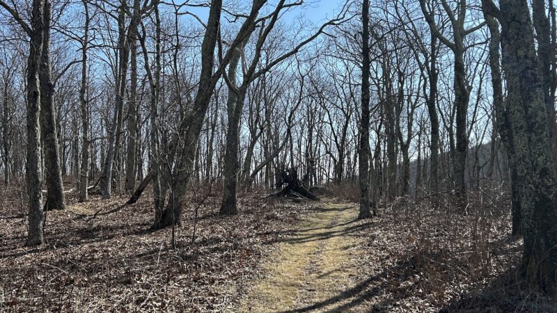 Mount Pleasant National Scenic Area - Amherst, VA