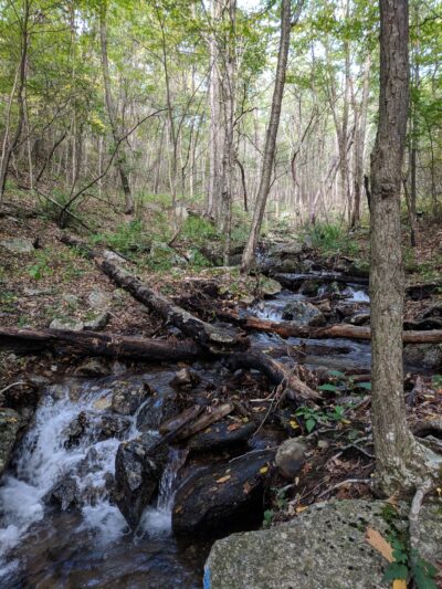 Mount Pleasant National Scenic Area - Amherst, VA